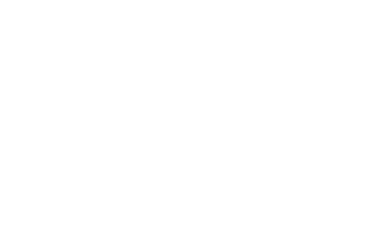Moke logo